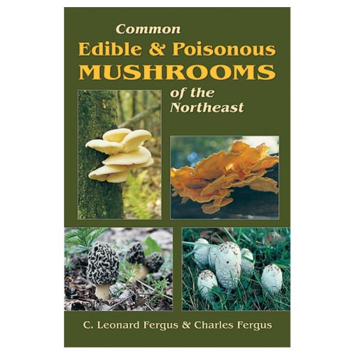 Common Edible/poison Mushroms
