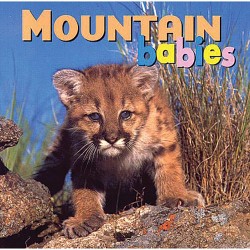 Mountain Babies