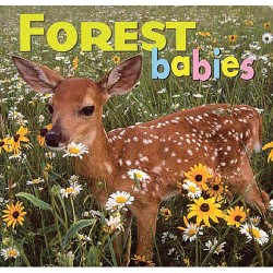 Forest Babies