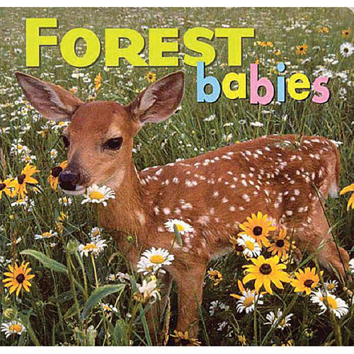 Forest Babies Forest Babies