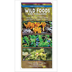 Wild Foods And Foraging Wild Foods And Foraging