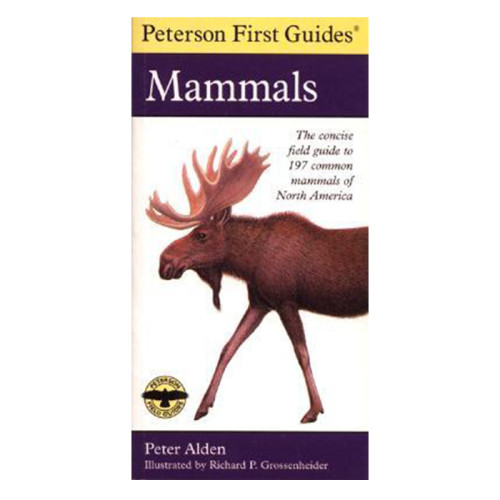 First Guide To Mammals Of N.a.