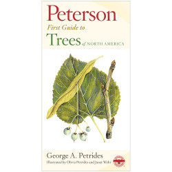 First Guide To Trees
