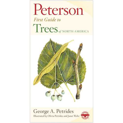 First Guide To Trees