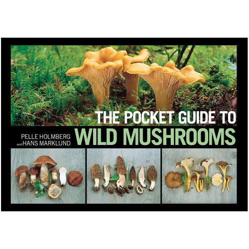 Pocket Guide To Wild Mushrooms Pocket Guide To Wild Mushrooms