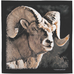 Bighorn Bandana