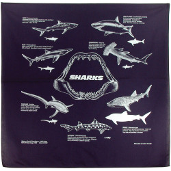 Sharks Bandana Sharks Bandana