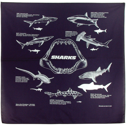 Sharks Bandana Sharks Bandana