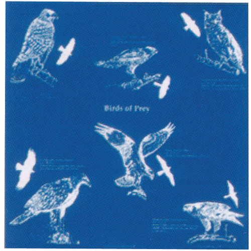 Birds Of Prey Bandana