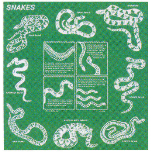 Snakes Bandana