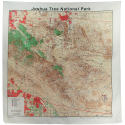 Joshua Tree Topo Bandana