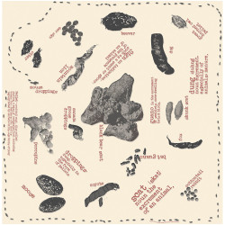 Scat Bandana Scat Bandana