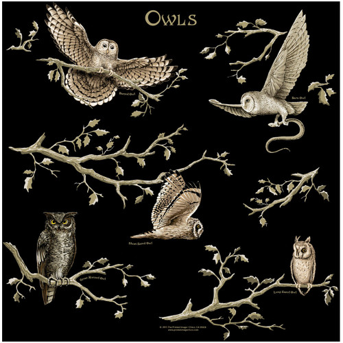 Owls Bandana