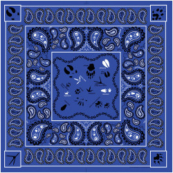 Paisley Tracks Paisley Tracks