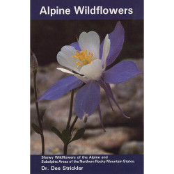 Alpine Wildflowers