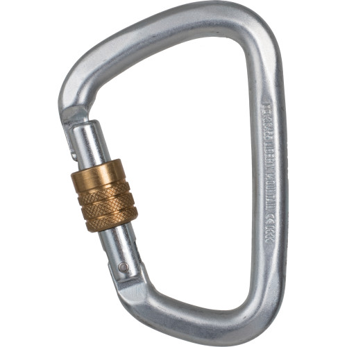 Hard Steel Large D Key Sg