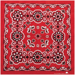 Texas Paisley Bandana Red Texas Paisley Bandana Red