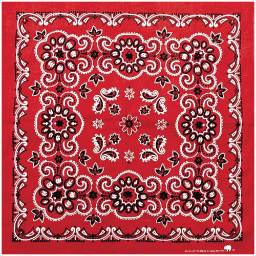 Texas Paisley Bandana Red