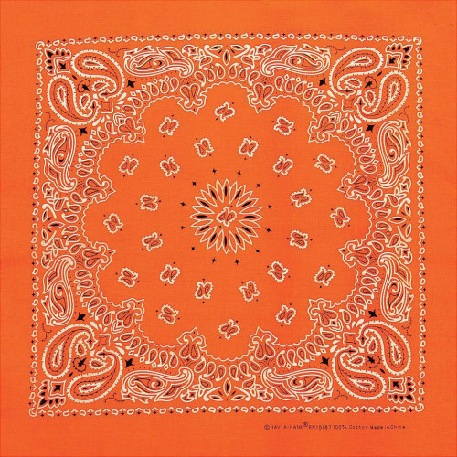 Neon Paisley Band Orng W/upc