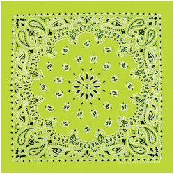 Neon Paisley Bandana Green Neon Paisley Bandana Green
