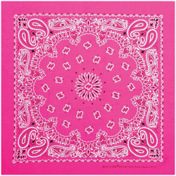 Neon Paisley Bandana Pink Neon Paisley Bandana Pink