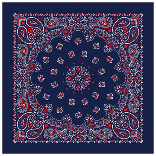 Bandana Paisley Blue/red