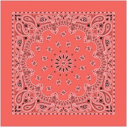 Bandana Paisley Honeysuckle Bandana Paisley Honeysuckle