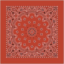 Bandana Paisley Terracotta Bandana Paisley Terracotta