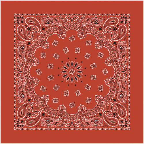 Bandana Paisley Terracotta