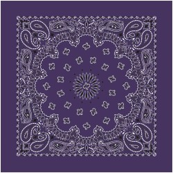 Bandana Paisley Plum Bandana Paisley Plum