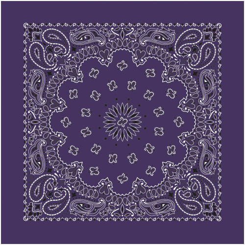 Bandana Paisley Plum