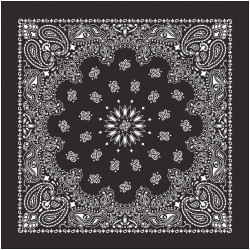 Bandanas Black W/hang Tg & Upc