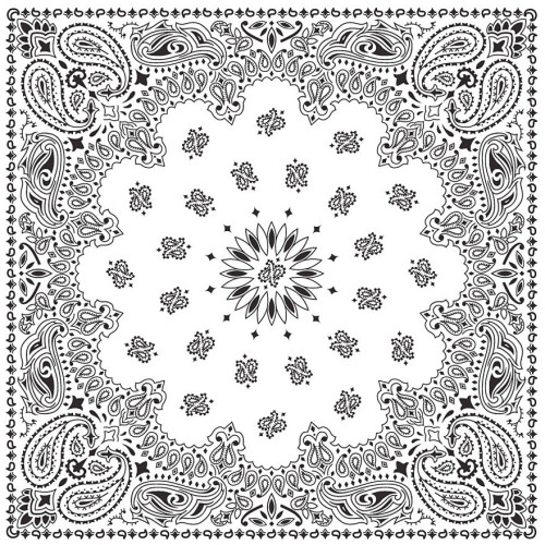 Bandanas White W/hang Tg & Upc