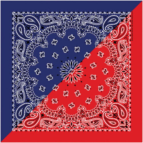 Split Paisley Navy/red