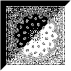 Split Paisley Black/white Split Paisley Black/white