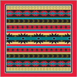 MODERN AZTEC w/RED TRIM MODERN AZTEC w/RED TRIM
