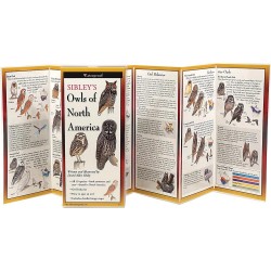 Sibley's Owls Of North America Sibley's Owls Of North America