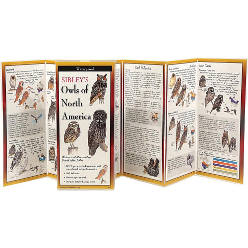 Sibley's Owls Of North America