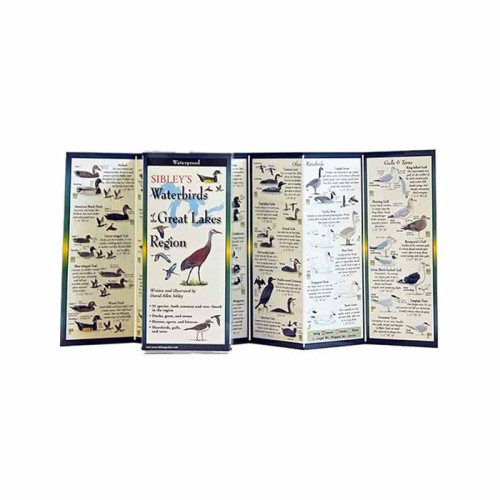 Sibley's Waterbirds Great Lake