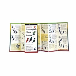 Sibley's Hummingbirds Of Na Sibley's Hummingbirds Of Na