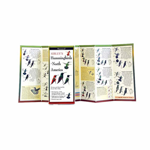 Sibley's Hummingbirds Of Na