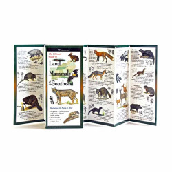 Land Mammals Of The Southeast