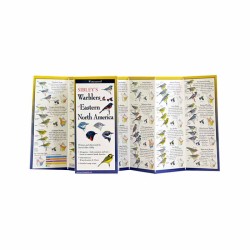 Sibley's Warblers Of East Na Sibley's Warblers Of East Na