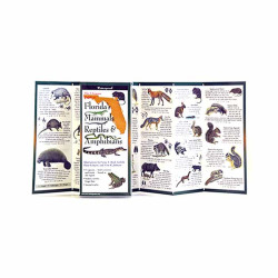 Florida's Mammals, Rep & Amphi