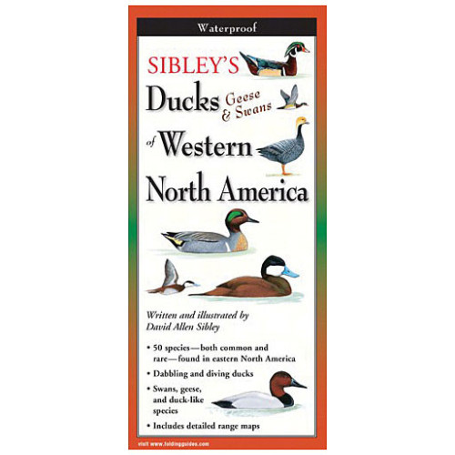Sibley's Ducks Geese Swan West