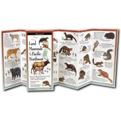 Mammals Of Northwest Guide