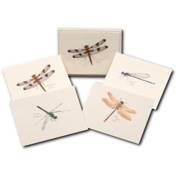 Dragonfly Notecards