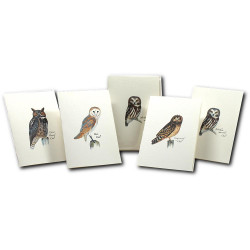 Owl Notecards