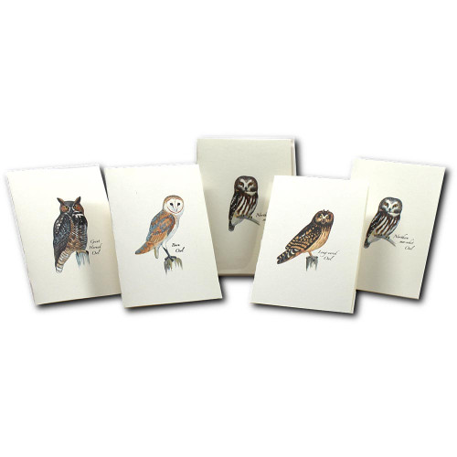Owl Notecards