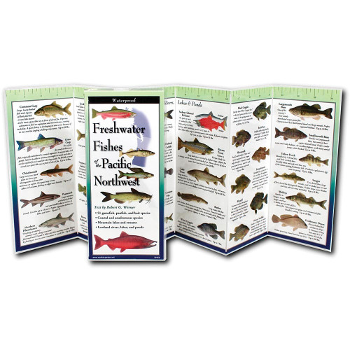 Folding Guide Fish Northwest